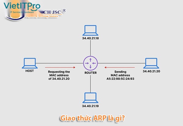 Quy trình gửi gói tin ARP Request Broadcast và nhận ARP Reply Unicast