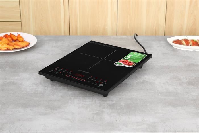 Bếp từ đơn Kangaroo KGIC22S2 2200W