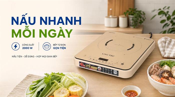 Bếp từ đơn Livotec E-smart LIS-560 2000W