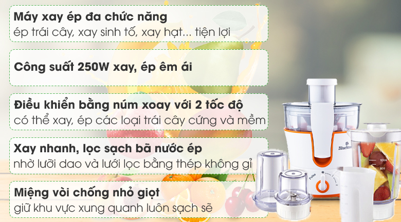 Máy xay ép đa năng BlueStone BLB-5343