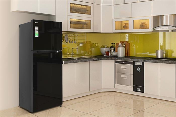 Tủ lạnh LG Inverter 217 lít T21BG