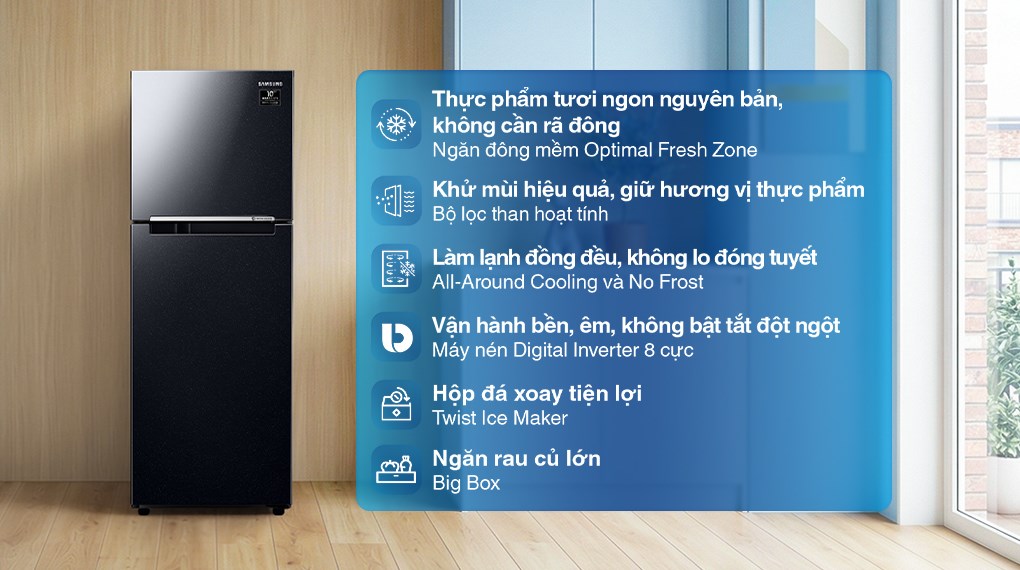 Tủ lạnh Samsung Inverter 236 lít RT22M4032BY/SV