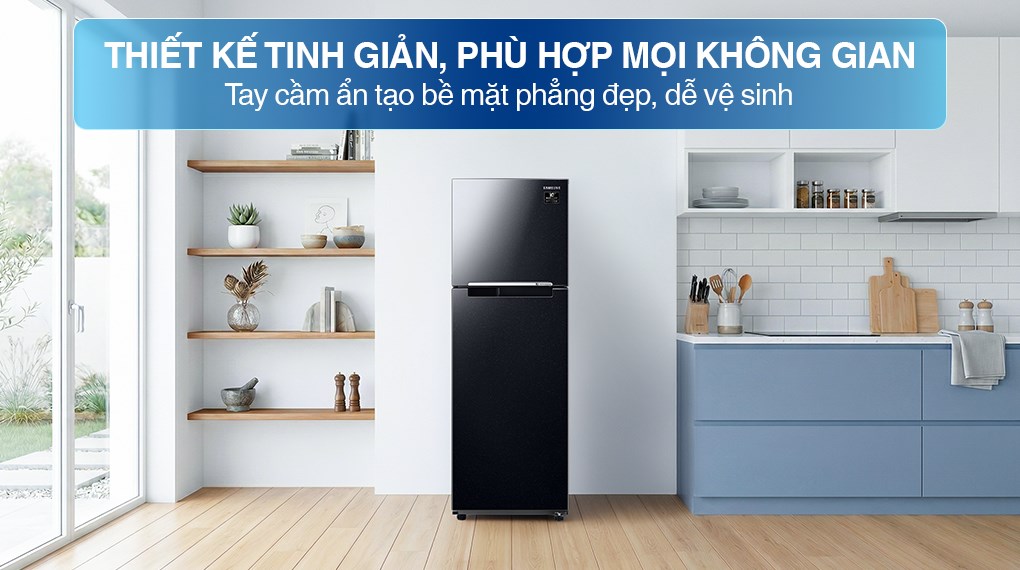 Tủ lạnh Samsung Inverter 256 lít RT25M4032BU/SV