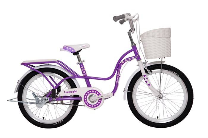 Xe Đạp Trẻ Em Nữ Thống Nhất Neo 20-04 20 inch (Có giỏ xe)