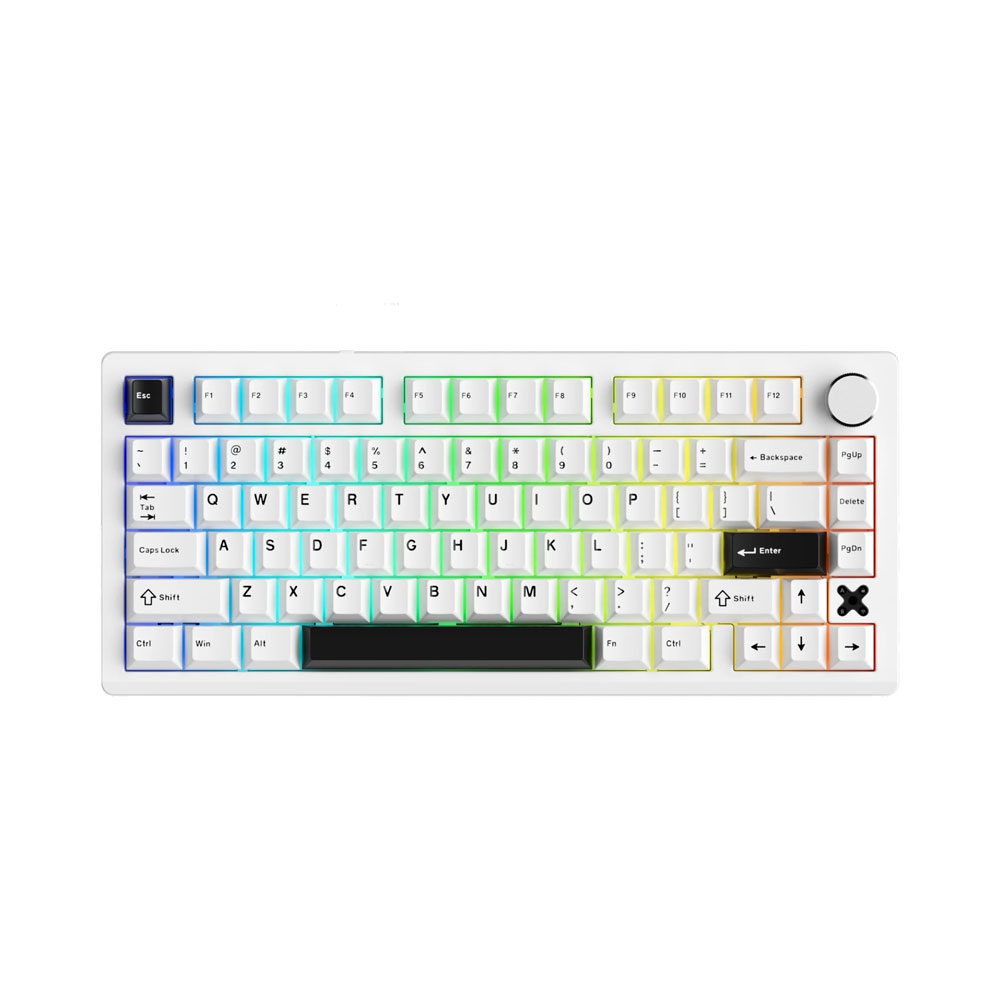 Bàn phím cơ Gaming không dây DAREU Flex 75 Pegasus Switch (Trắng đen)