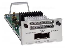 Module Cisco C9300-NM-2Y