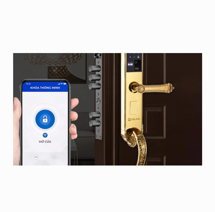 Khóa Biệt Thự Mạ Vàng 24K OSN-KBT04 - Khóa biệt thự mạ vàng 24K