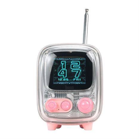 Loa Bluetooth Divoom Tiivoo-2 Pink