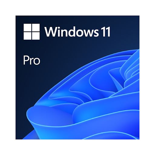 Key phần mềm Win 11 pro (OLCOA3EM/15)
