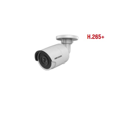 Camera IP 2MP HIKVISION DS-2CD2025FHWD-I Mini Bullet EXIR High Frame