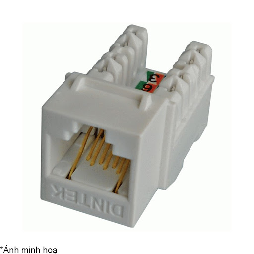 Ổ cắm RJ45 Cat6 Dintek, Keystone Jack, dạng thẳng