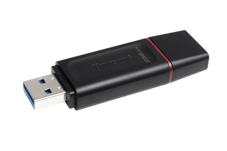 USB 3.2 256GB Kingston DataTraveler Exodia DTX